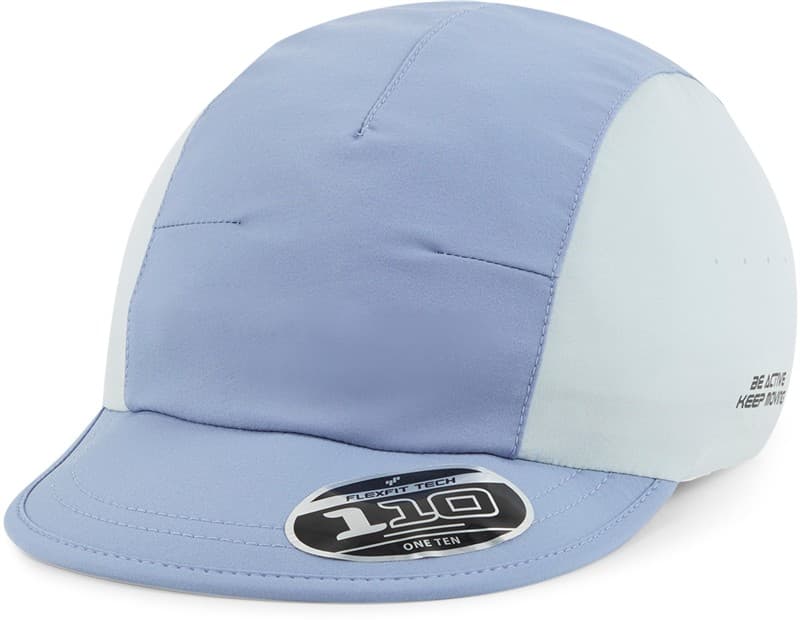 Flexfit | 110LBC – blue/grey